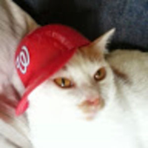 Meet your Posher, Imran